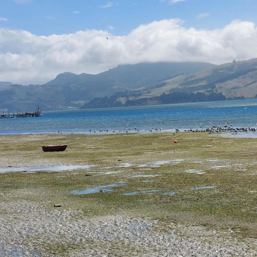 דנידין Otago Peninsula Paradise מראה חיצוני תמונה